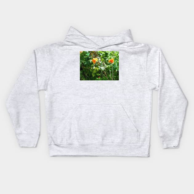 Raspberries and roses Kids Hoodie by FriendlyComputerHelp